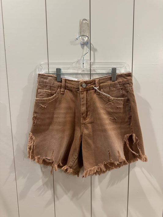 Vervet Rebecca High Rise Shorts in Terracotta